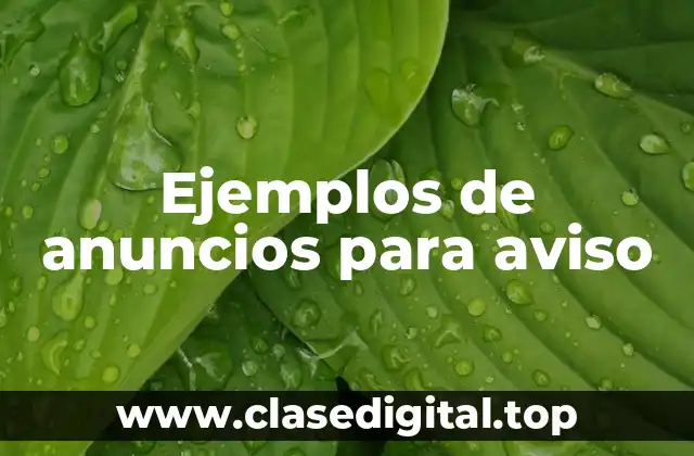 Ejemplos de anuncios para aviso