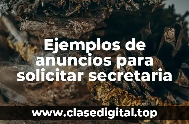 Ejemplos de anuncios para solicitar secretaria