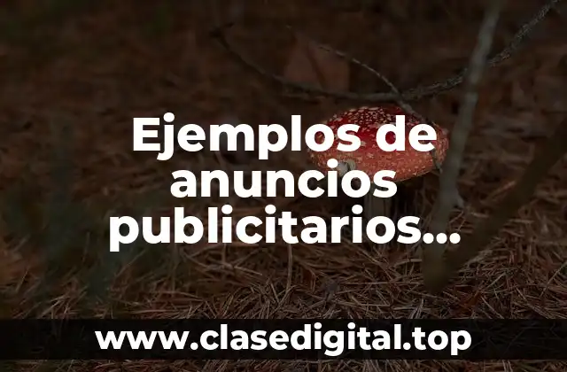 Ejemplos de anuncios publicitarios informacion