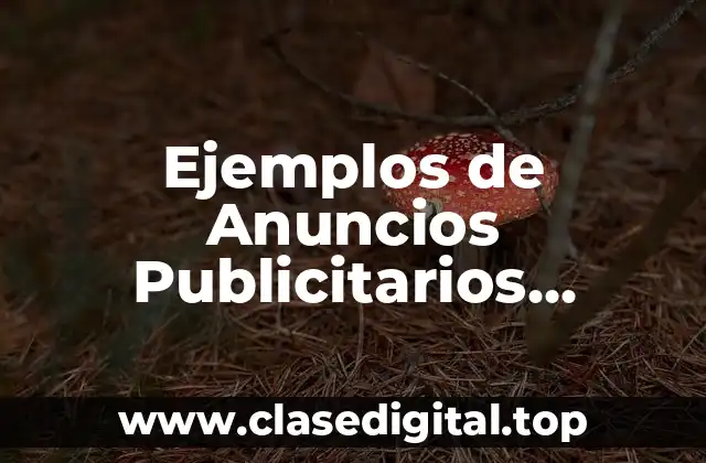 Ejemplos de Anuncios Publicitarios Ofreciendo Algun Servicio de Juego Inflable y Significado