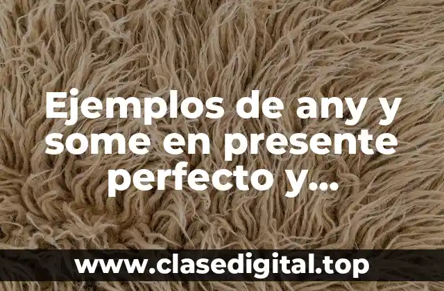 Ejemplos de any y some en presente perfecto y Significado