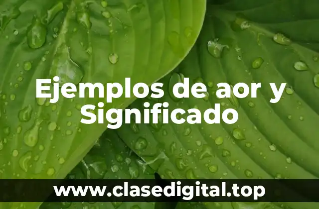 Ejemplos de aor y Significado