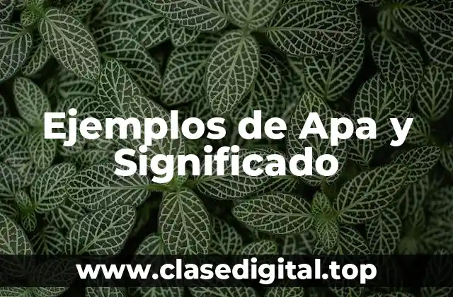 Ejemplos de Apa y Significado