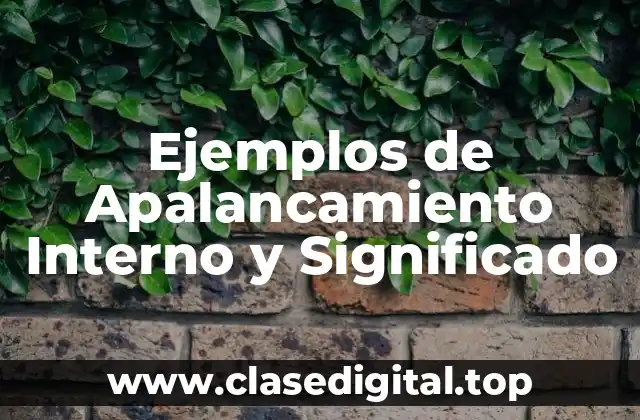 Ejemplos de Apalancamiento Interno y Significado