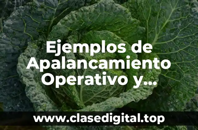 Ejemplos de Apalancamiento Operativo y Financiero en Excel