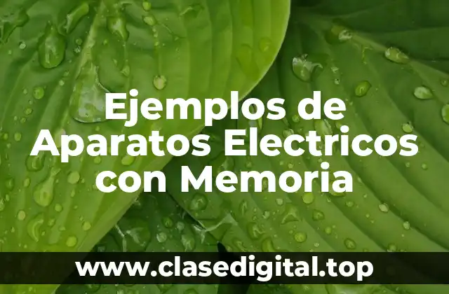 Ejemplos de Aparatos Electricos con Memoria