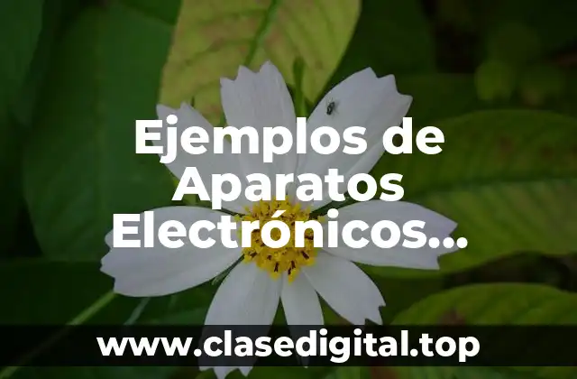 Ejemplos de Aparatos Electrónicos Comunes