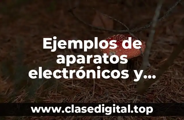 Ejemplos de aparatos electrónicos y digitales