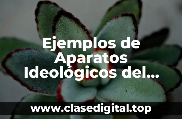 Ejemplos de Aparatos Ideológicos del Estado y Significado