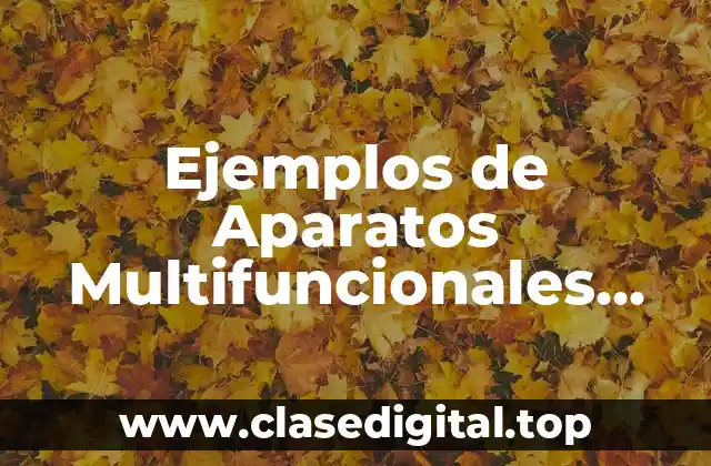 Ejemplos de Aparatos Multifuncionales Trascendentales