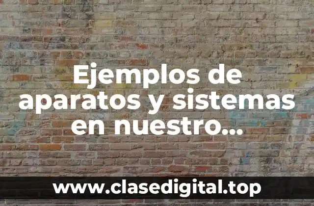 Ejemplos de aparatos y sistemas en nuestro organismo