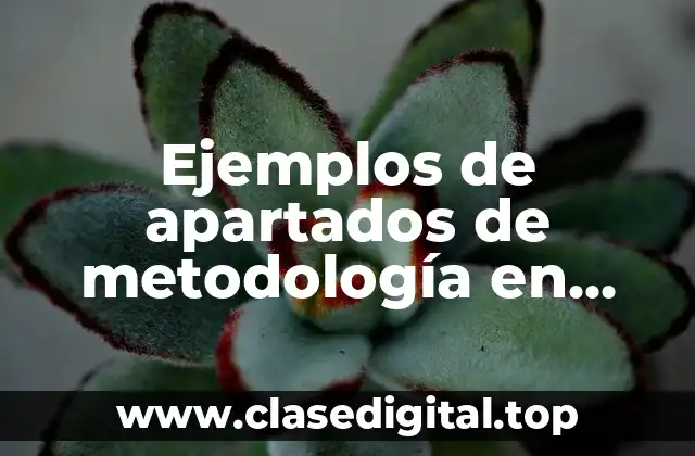 Ejemplos de apartados de metodología en estudio cualitativo