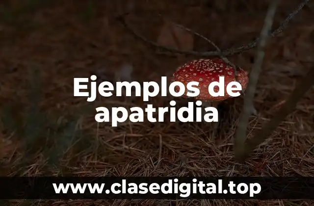 Ejemplos de apatridia
