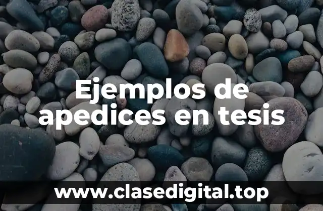 Ejemplos de apéndices en tesis