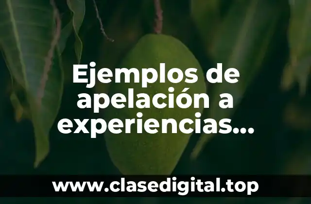 Ejemplos de apelación a experiencias compartidas