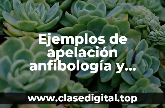 Ejemplos de apelación anfibología y Significado
