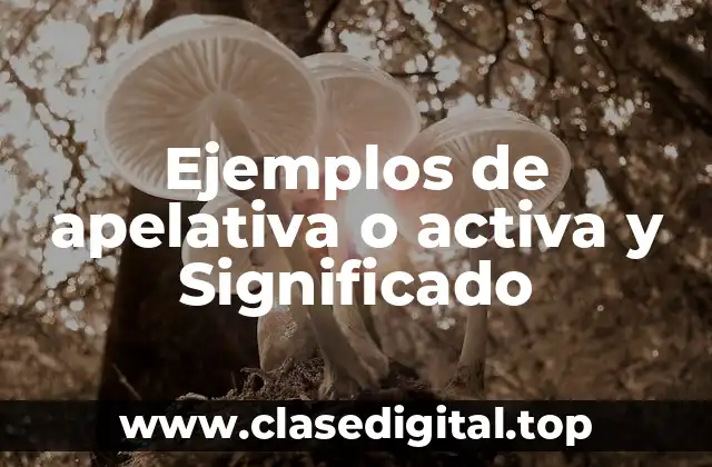 Ejemplos de apelativa o activa y Significado