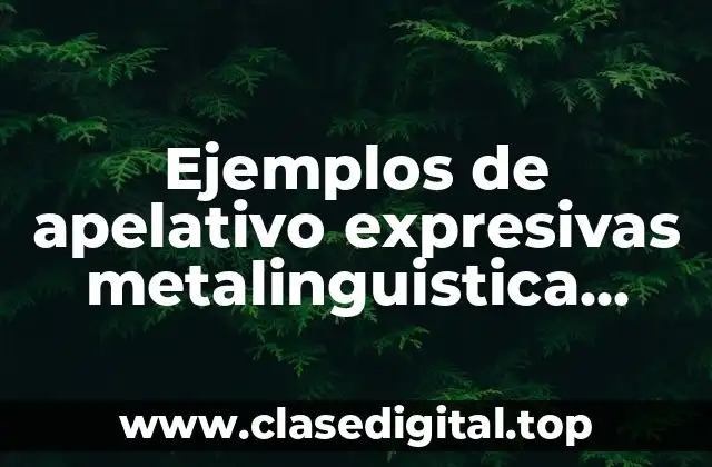 Ejemplos de apelativo expresivas metalinguistica referencial poetica