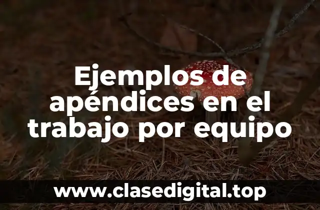 Ejemplos de apéndices en el trabajo por equipo