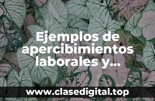 Ejemplos de apercibimientos laborales y Significado