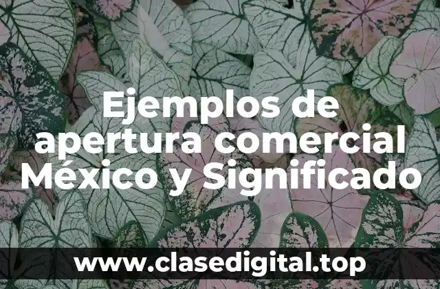 Ejemplos de apertura comercial México y Significado