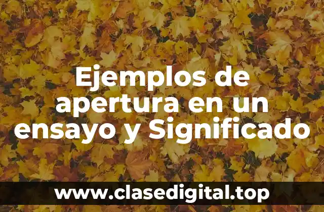 Ejemplos de apertura en un ensayo y Significado