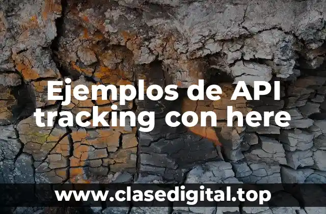 Ejemplos de API tracking con here