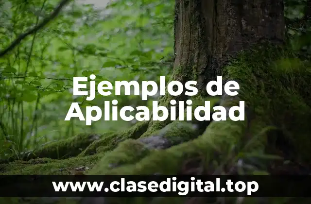 Ejemplos de Aplicabilidad