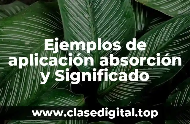 Ejemplos de aplicación absorción y Significado