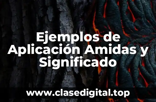Ejemplos de Aplicación Amidas y Significado