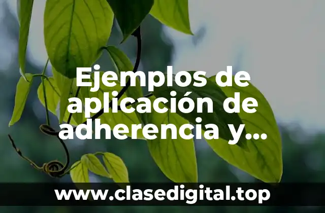 Ejemplos de aplicación de adherencia y Significado