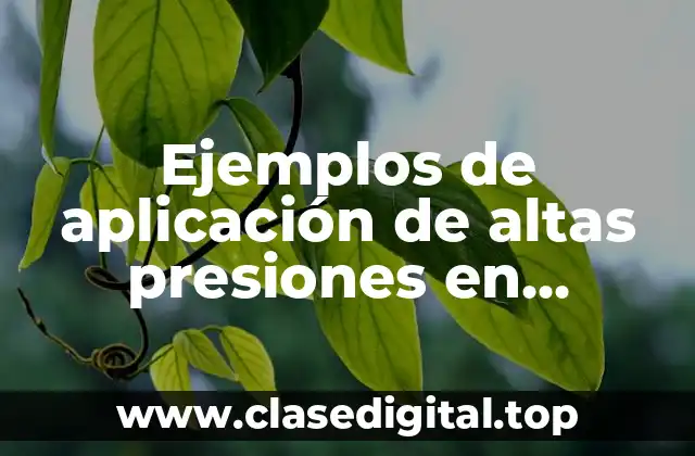 Ejemplos de aplicación de altas presiones en alimentos