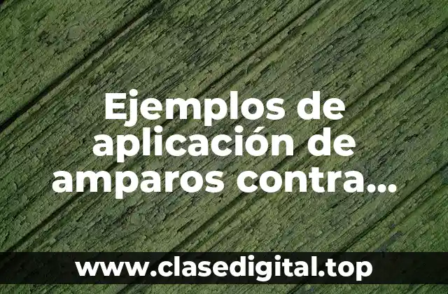 Ejemplos de aplicación de amparos contra leyes