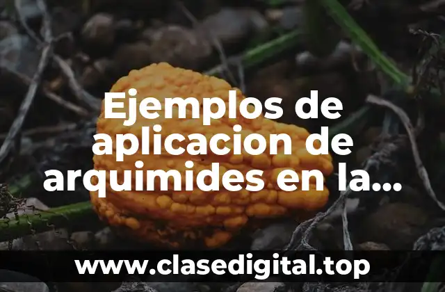 Ejemplos de aplicacion de arquimides en la vida diaria y Significado