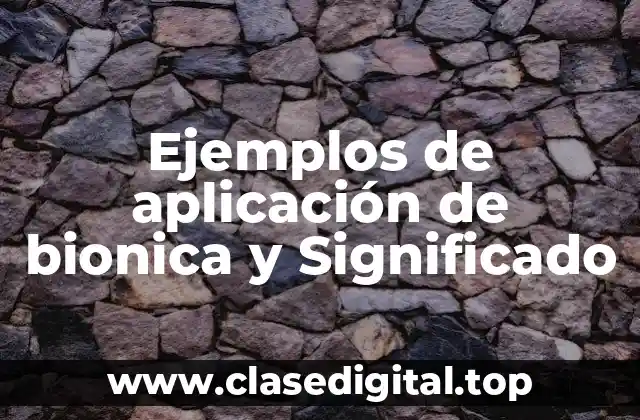 Ejemplos de aplicación de bionica y Significado