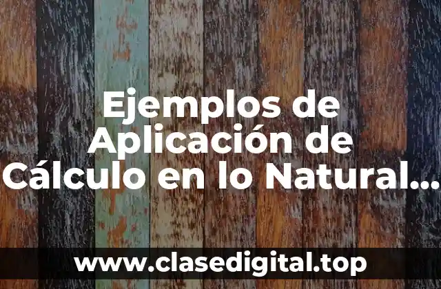 Ejemplos de Aplicación de Cálculo en lo Natural y Significado
