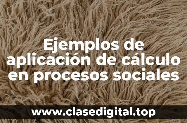 Ejemplos de aplicación de cálculo en procesos sociales