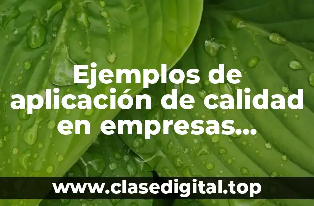 Ejemplos de aplicación de calidad en empresas mexicanas y Significado