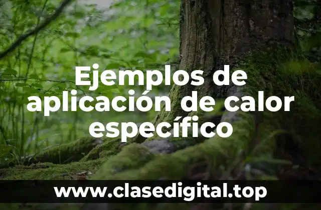 Ejemplos de aplicación de calor específico