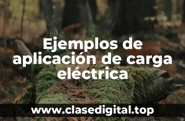 Ejemplos de aplicación de carga eléctrica