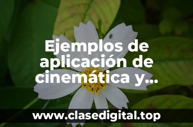 Ejemplos de aplicación de cinemática y Significado