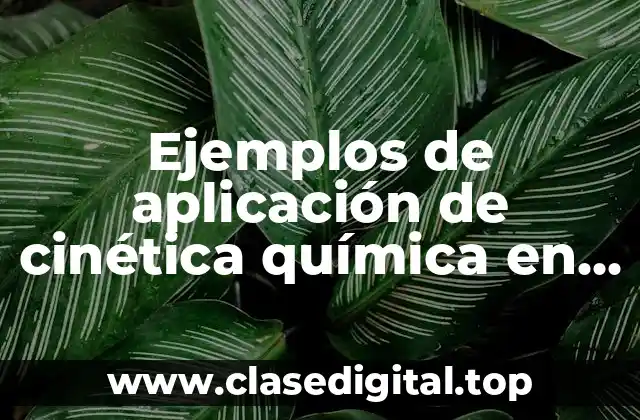 Ejemplos de aplicación de cinética química