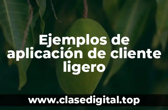 Ejemplos de aplicación de cliente ligero