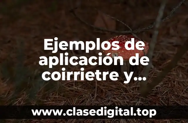 Ejemplos de aplicación de coirrietre y Significado