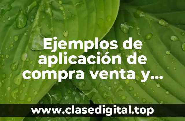 Ejemplos de aplicación de compra venta y Significado