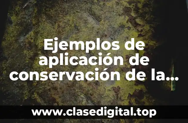 Ejemplos de aplicación de conservación de la energía