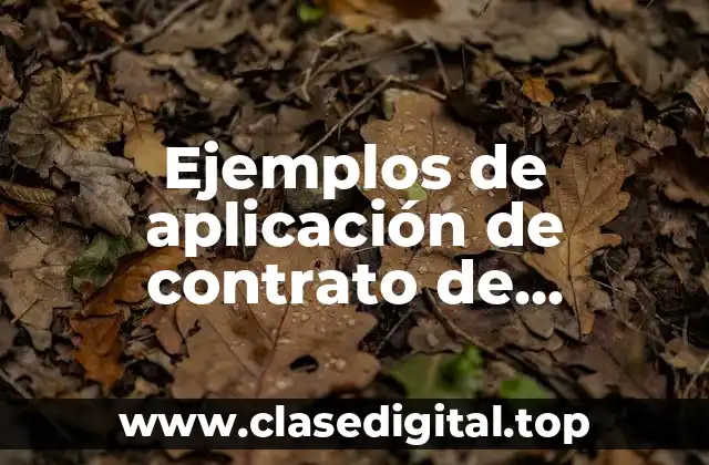 Ejemplos de aplicación de contrato de compraventa mercantil