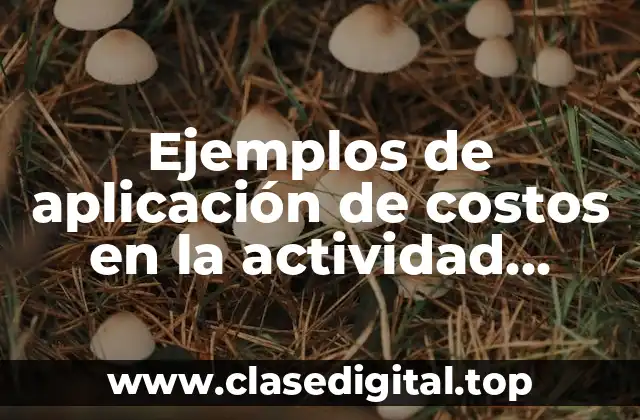 Ejemplos de aplicación de costos en la actividad industrial