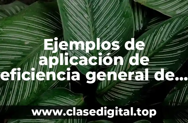 Ejemplos de aplicación de eficiencia general de los equipos