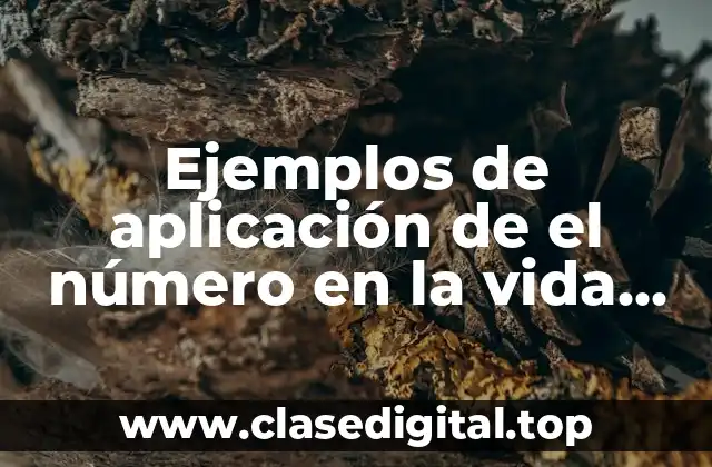 Ejemplos de aplicación de el número en la vida cotidiana